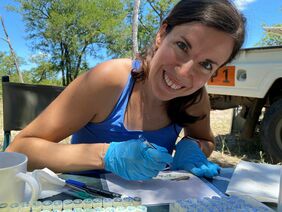 Researcher at work: Dr. Silvia Cattelan in the Gonarezhou National park in Zimbabwe (Photo: private)