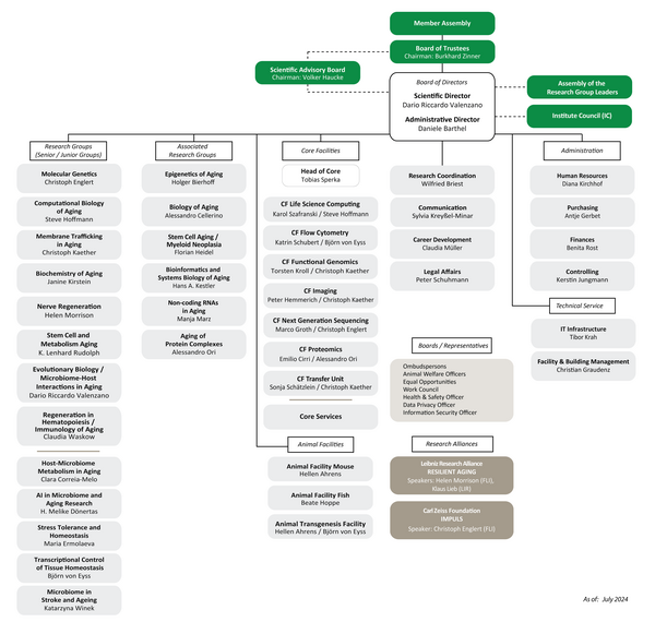 Organizational Chart of FLI