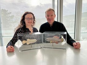 Dr. Annekatrin Richter und Prof. Christoph Englert identifizierten ein Gen, dass das männliche Geschlecht beim Killifisch bestimmt. (Foto: FLI)