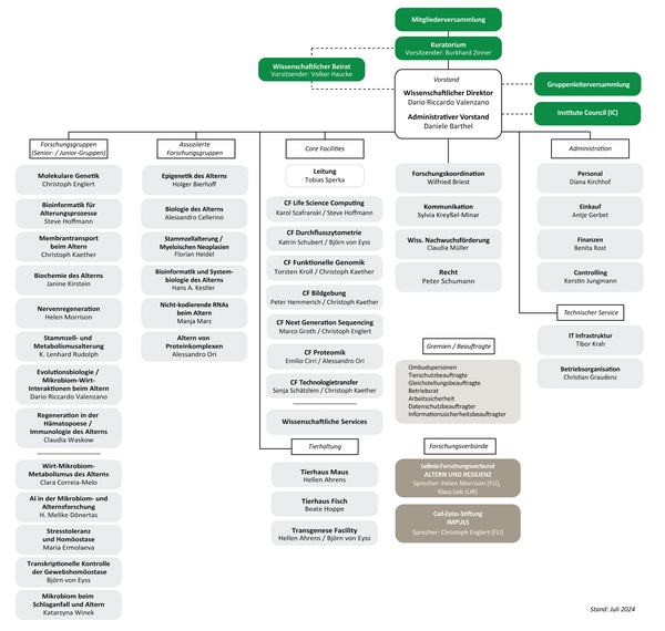 Organigramm des FLI 